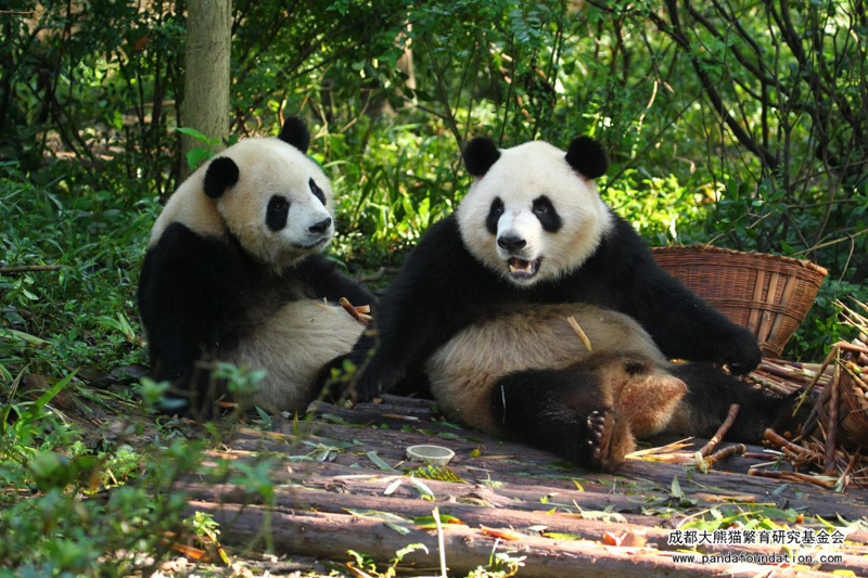 图片10.png