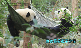 我的哥哥概不外借