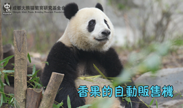 香果的自動販售機
