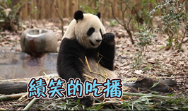 績笑的吃播