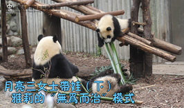 月亮寶媽帶娃現狀（下）