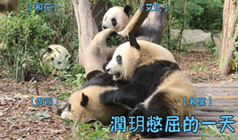 潤玥：憋屈的一天