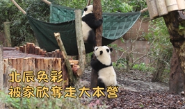 北辰奐彩被奪走大本營