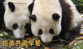 姐弟共進早餐