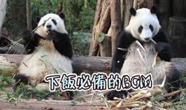 下飯必備的BGM