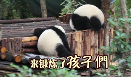 來鍛煉了，孩子們