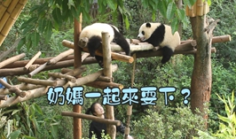 奶媽一起來耍下？