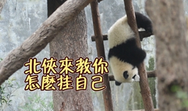 北俠教你怎麼掛自己