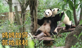 媽媽如何就地取材