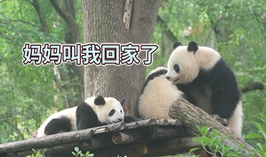 媽媽叫我回家了