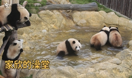 家欣的澡堂