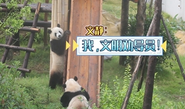 文明勸導員
