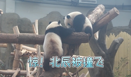 北辰被撞飛