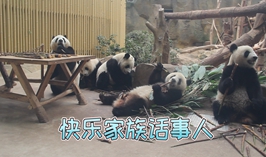 快樂家族話事人