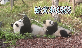 輪文和媽媽