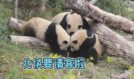 北俠要請客