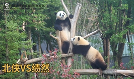 北俠VS績然