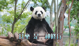 打坐是一種修行