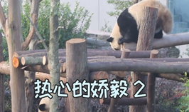 熱心的嬌毅（2）