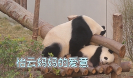 怡雲媽媽的愛意
